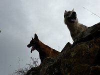 2014-05-24 15.49.52  ø;    K       $  v	  Ð    4xV4xV4xV4       ` V% è     ÿÿÇfz                              ýý                                                                                                                                                                                                                  C A L ZKFI07    Cur.ZKFJ03CML 018001001509FD120109010B010D010D01240967ï )Yë&#38;      T U N A   Ð$  [    I  ÄUÿÿ§  ÖÕÿÿEL åÝÿÿ^  §Vÿÿû   FLFL SVN# g	                                                                                                                   ®    Ð$ ô  ô	 	v	                           LxE         r                                        \  R ú            	 º      8                                                                                                                                                                                                                                                               JKJK\    ?t    Â    B
     $               æ	    =§ [    I  ÄUÿÿ§  ÖÕÿÿEL åÝÿÿ^  §Vÿÿû JKJKp   p   p   p   `   p   Q3 `   `   p   p   p   `   p   		 		 p   p   p   `   p   `   `   p   p   p   p   `   `   p   		 		 p   `   p   p   p   p   p   p   p   p   p   p   p   		 		 		 p   p   p   `   p   p   p   p   p   p   p   p   p   		 		 		 p   `   p   p   p   p   p   p   `   p   p   p   p   p   p   		 `   `   `   p   p   p   `   p   p   p   p   p   p   p   p   		 p   `   p   p   p   `   p   p   p   p   p   p   p   p   p   		  p   p   p   `   p   p   p   p   p   p   p   p   p   p   		 	 p   p   p   p   p   p   p   p   p   p   p   p   p   p   		 	 P3 p   p   p   p   p   p   p   p   p   p   p   p   p   		 `   `   p   p   p   p   p   p   p   p   p   p   p   p   p   p   p   `   p   p   p   p   p   p   p   p   p   p   p   p   p   		 p   p   p   p   p   p   p   p   p   p   p   p   p   p   p   		 p   p   p   p   p   p   p   p   p   p   p   p   p   p   p   		 		 p   p   p   p   p   p   p   p   p   p   p   p   p   		 		 		 		 p   p   p   p   p   p   p   p   p   p   p   		 		 		 JKJK                        üñ    Ö                                     `  ÷ÿ  ¦                                     à	 ýÿ  9§ à	 ýÿ  8§ à	 ýÿ  8§ à	 ýÿ  8§                                                                                                                                                                                                                                                                                           ýAFAF§    §      Ûn  d T õâ ©C ×Ã ¸? Ý¶  F ú£ Â?£ mb« ¤`« ² a² wÈ¹ &#34;¹ ïâÀ È·À @Ç ²Ç ò\Î ©Î miÕ Þ¢Õ #lÜ 3Ü àVÀ º³À 7PÀ «±À ÊX§    §    §    §    §    §          AFAF ­ZK À  AFAFä                                                                                                                                                                                                                                                                                                                                       Þ°ê         °    X  ¤x R¼ )Þ )Þ îº îº wÝà®»  6nµ  µ                                                                                                                                                                                                                                                                                                                                                                                                                                                                                                                                                                                                                                                                                                                                                                                                         ·  ¹  »  ½  ÎFßWðÞ¼Õ 4 PME  à×ì;ó